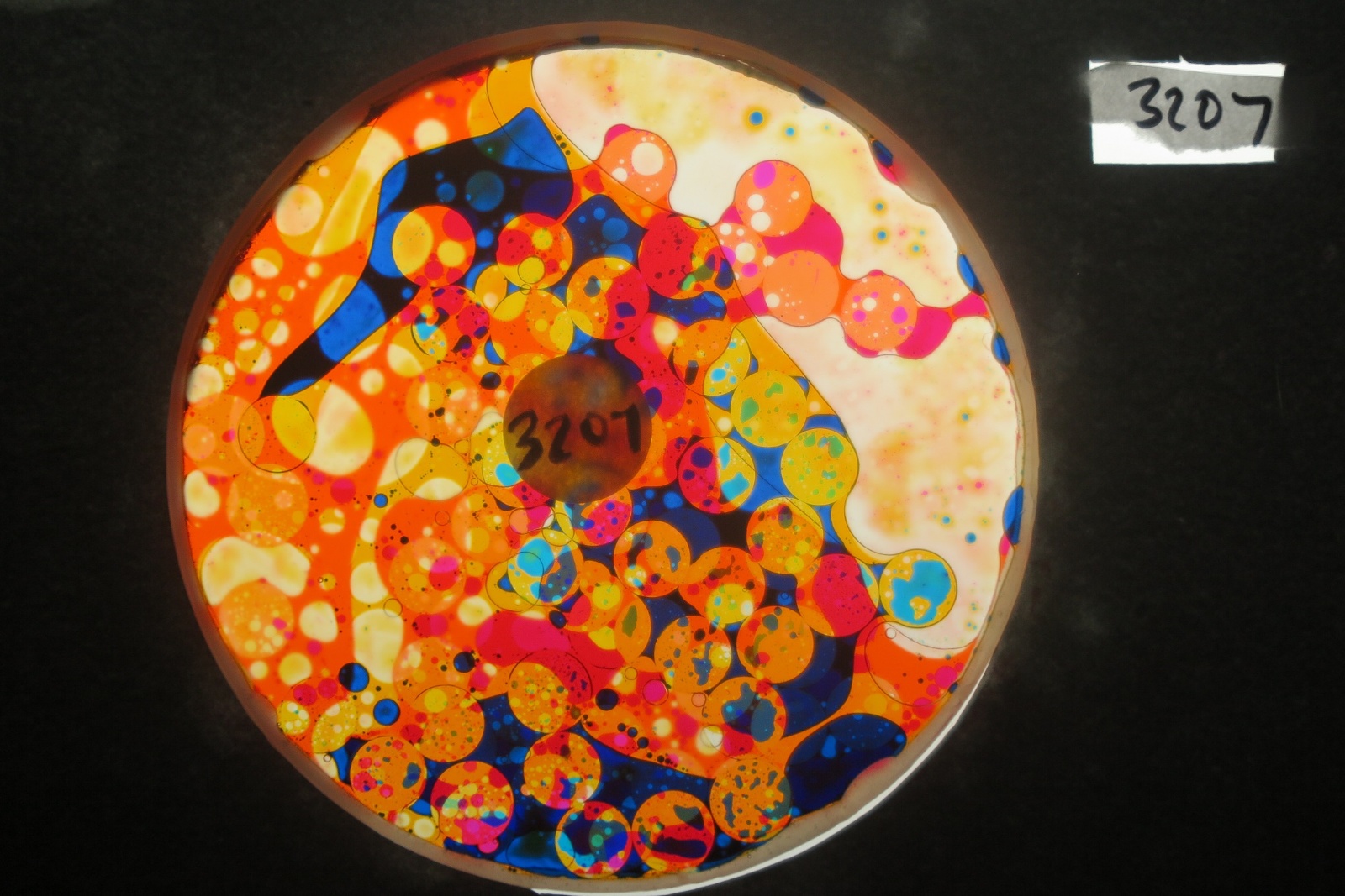 BV3207 bubble vision oil wheel